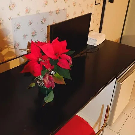 Hotel Letizia Hotel 3*